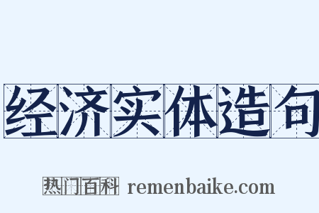 经济实体造句是什么意思的图片